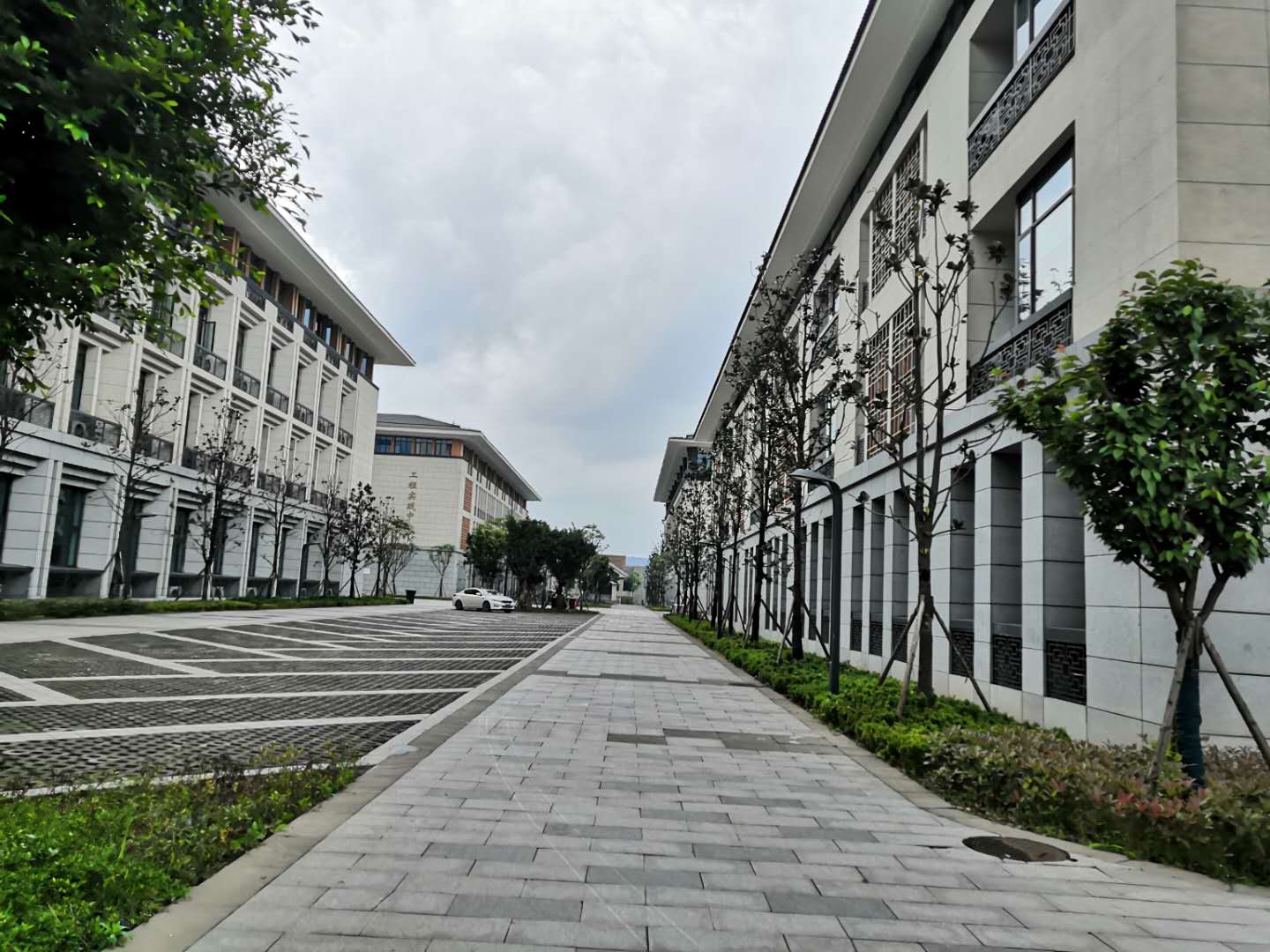 宜宾中国白酒学院项目工程